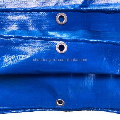 El estilo de rayas 50gm Tarpaulin azul PE para un rendimiento duradero