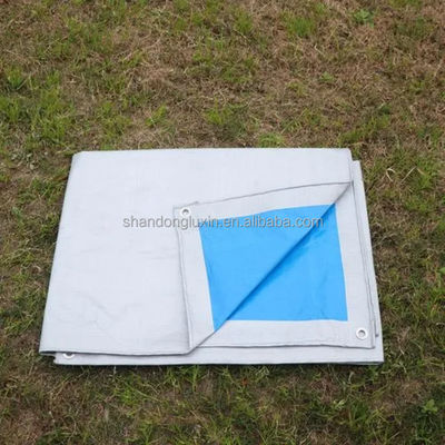 Hoja de tela de lonas de plástico laminada PE personalizada para aplicaciones versátiles